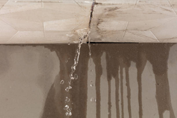 Professional Water Damage Repair technician working in Cerritos, CA